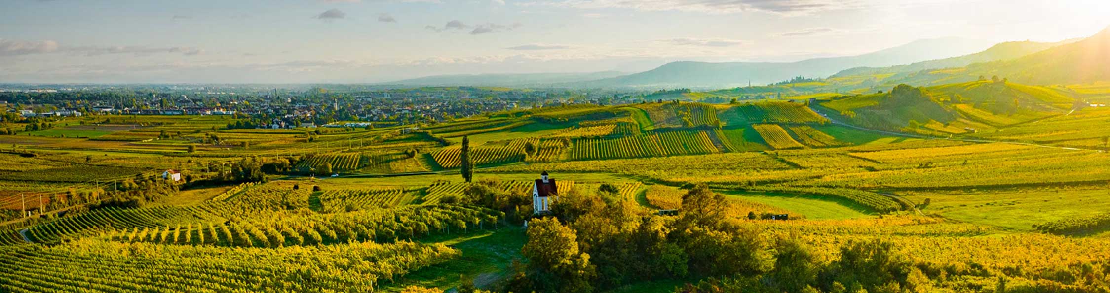 gasthof-rupp-fremdenzimmer-marchfeld-umgebung-header_